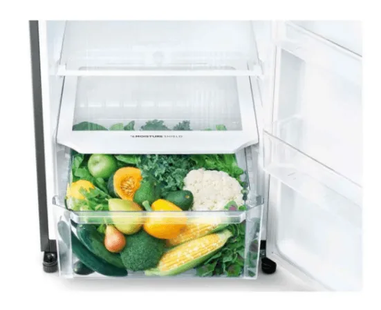 Sharp SJ-RF22E-DS 224L 2 Door Refrigerator